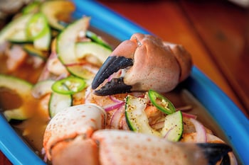 hacienda morelos beach front hotel