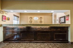comfort suites rochester henrietta university area