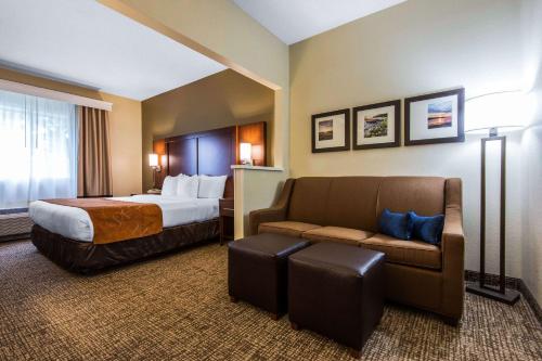 comfort suites rochester henrietta university area