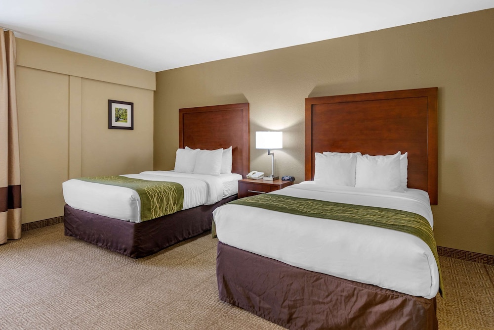 comfort inn aikens center