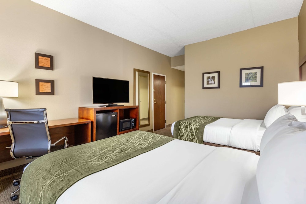 comfort inn aikens center