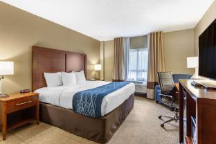 comfort inn aikens center