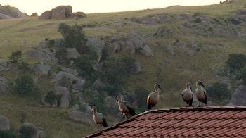 mountain view international by bon hotels