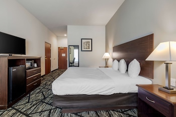 best western plus mckinney inn and suites