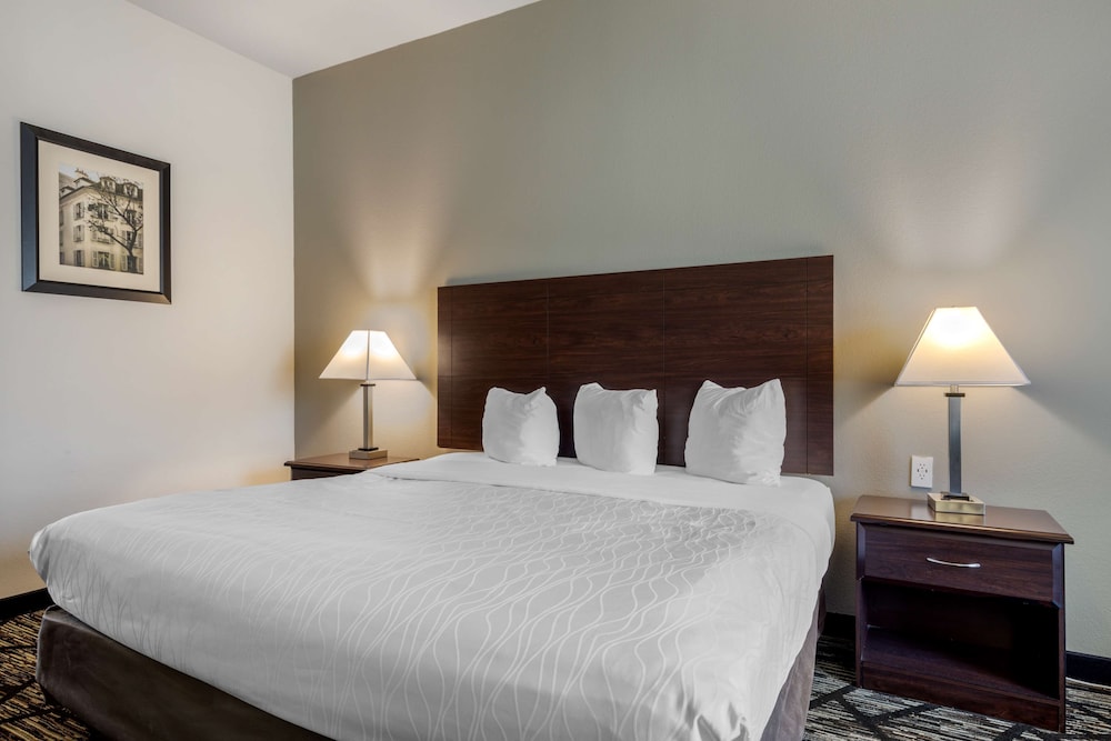 best western plus mckinney inn and suites