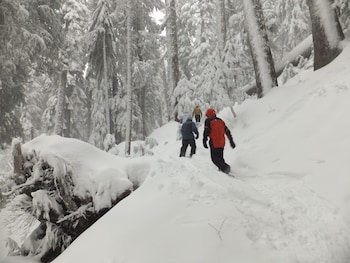 north vancouver hotel
