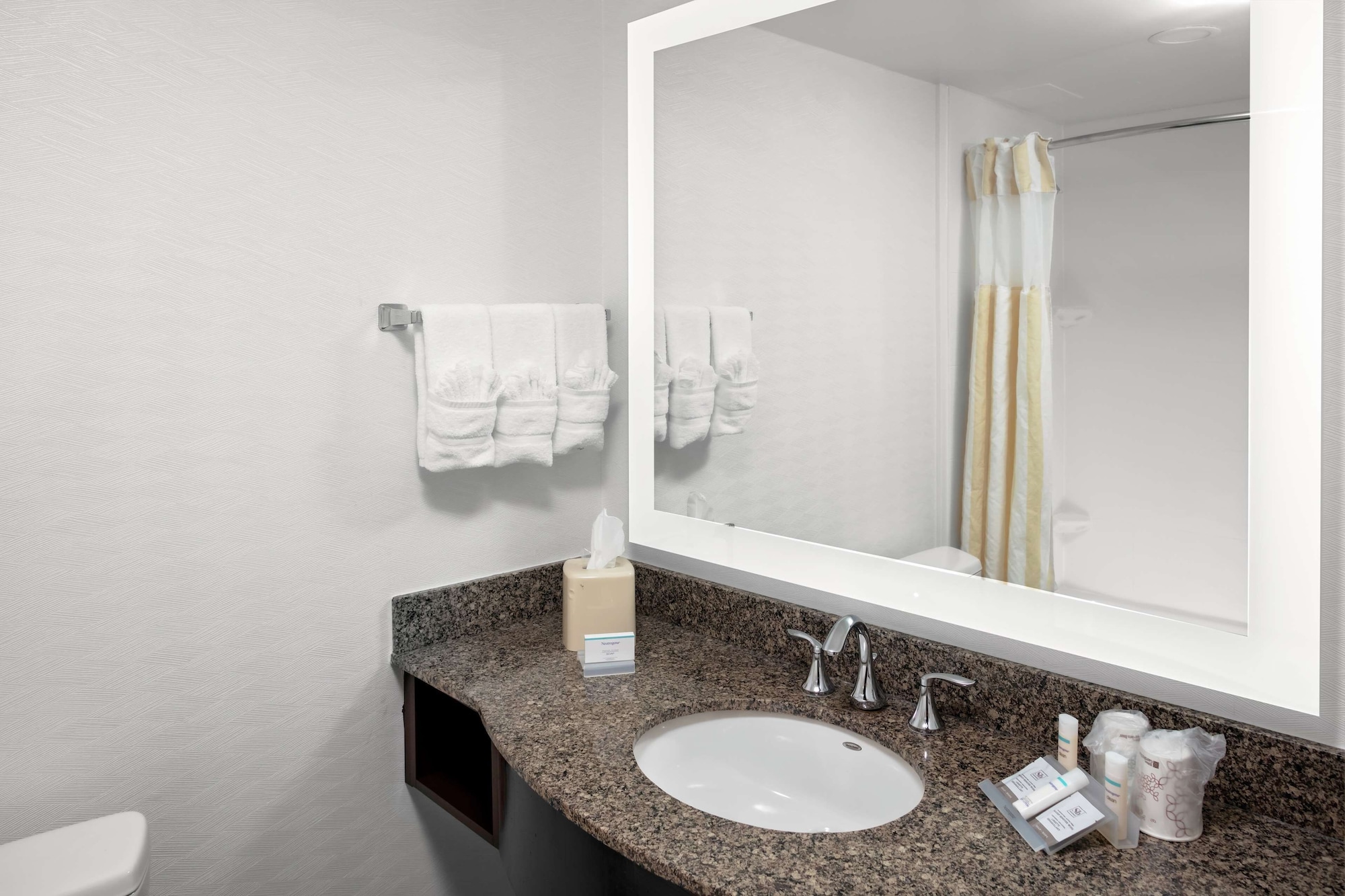 hilton garden inn atlanta perimeter center
