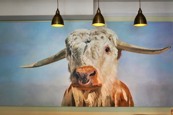 the bull hotel