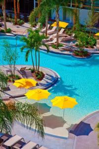 sheraton orlando lake buena vista resort