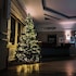 hotel alpex