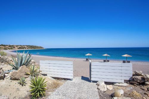 lachania