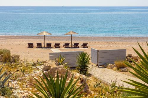 lachania
