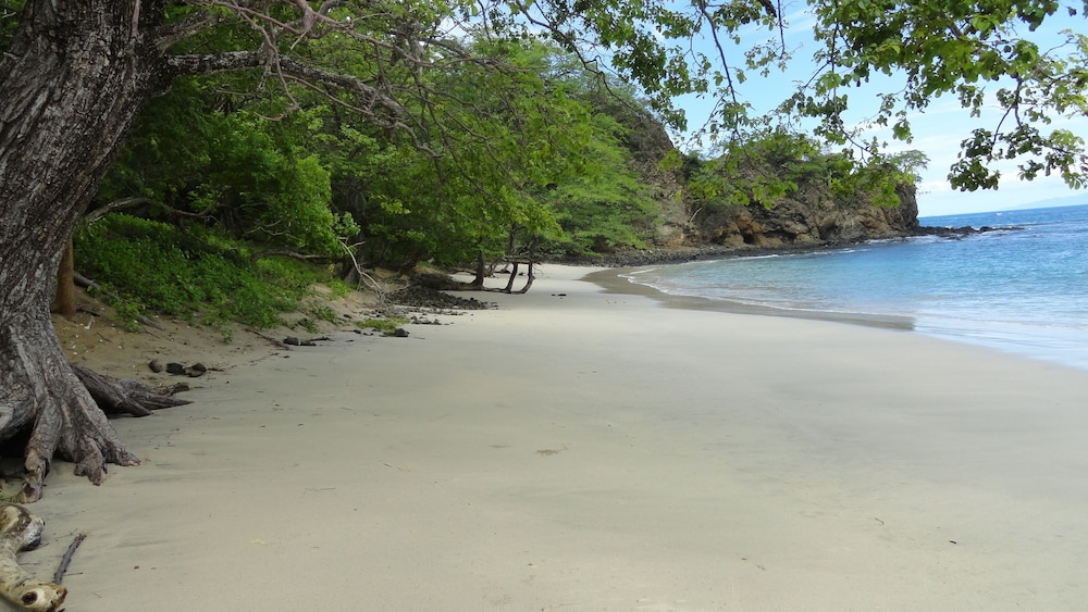 hotel colono beach