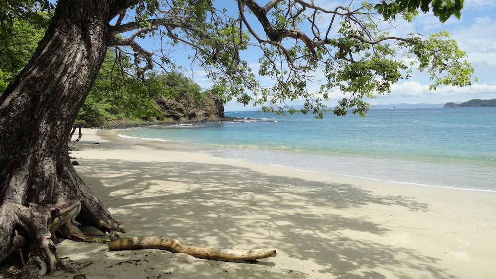 hotel colono beach