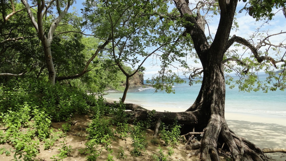 hotel colono beach
