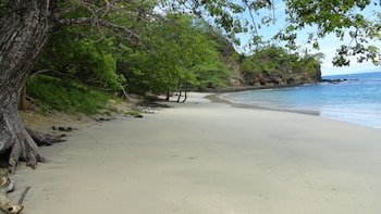 hotel colono beach
