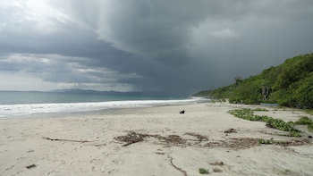 hotel colono beach