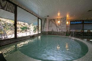 hakone tonosawa onsen shiunso