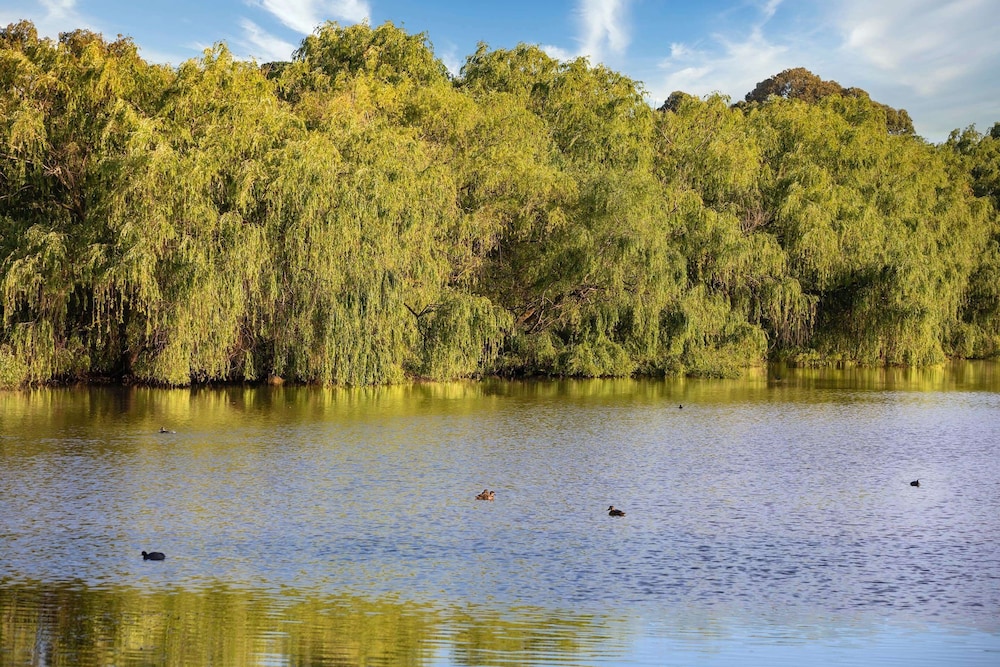 club wyndham ballarat trademark collection by wyndham