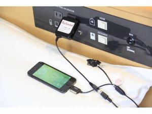 richmond hotel tokyo musashino