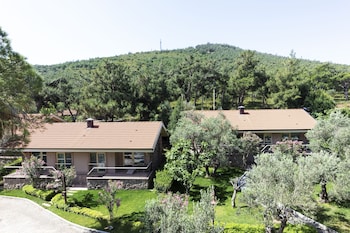 d resort ayvalik murat reis