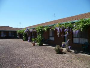 birch motel tocumwal