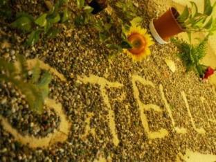 stella resort hostel