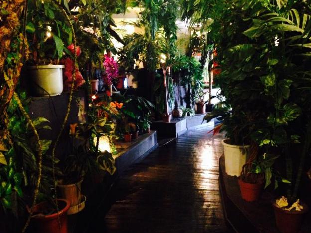 stella resort hostel