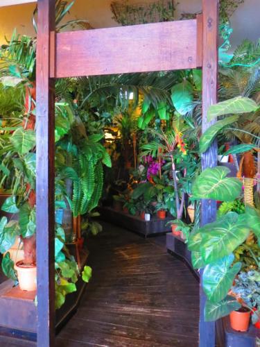 stella resort hostel