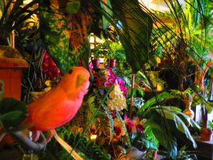 stella resort hostel