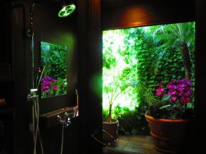 stella resort hostel