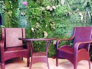 stella resort hostel