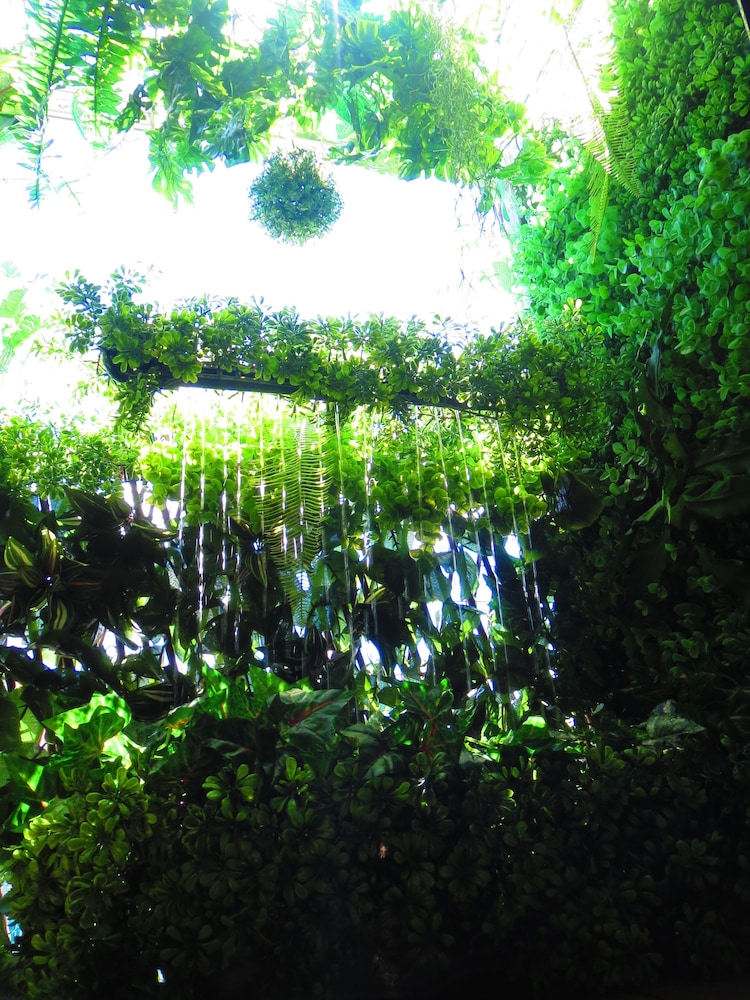 stella resort hostel