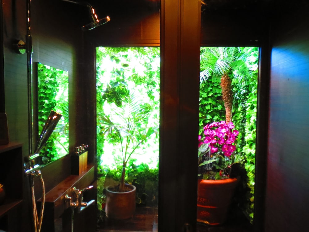 stella resort hostel