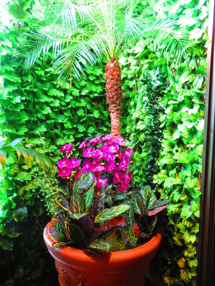 stella resort hostel