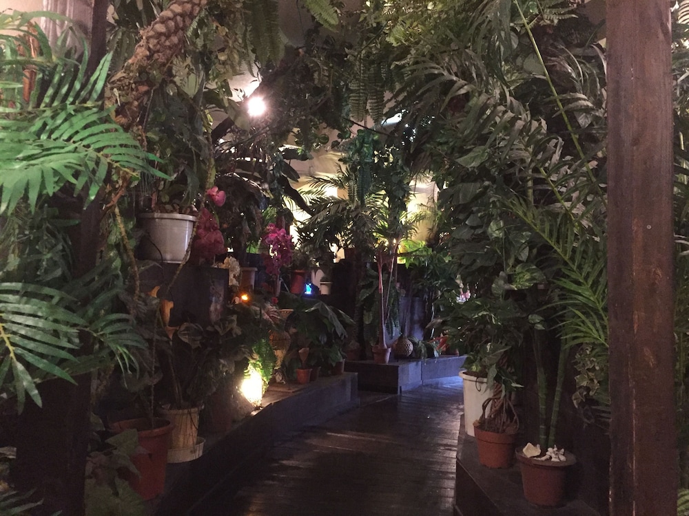 stella resort hostel