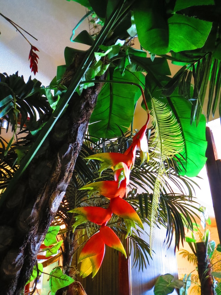 stella resort hostel