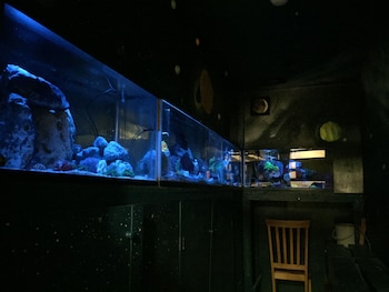 stella resort hostel