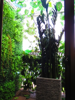 stella resort hostel