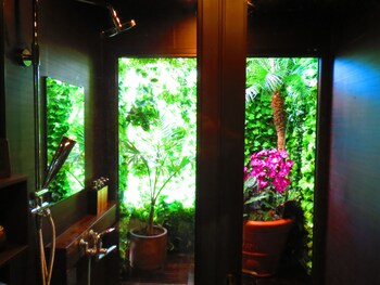 stella resort hostel