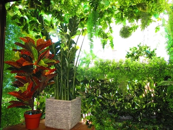 stella resort hostel