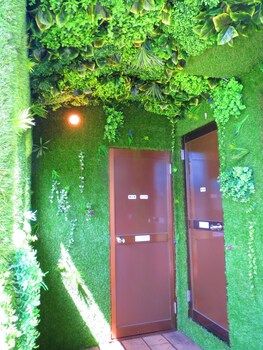 stella resort hostel