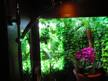 stella resort hostel