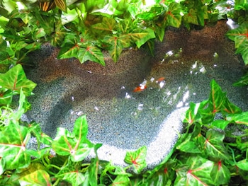 Stella Resort - Hostel,Okinawa>>Naha,1 star