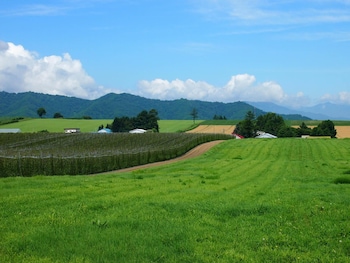 the squirrels guesthouse canterbury