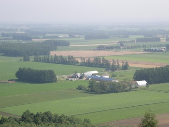 the squirrels guesthouse canterbury