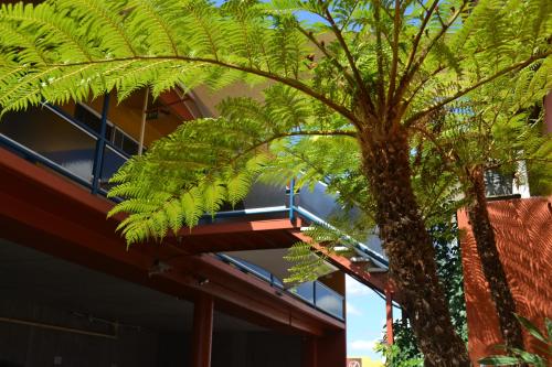matilda motel