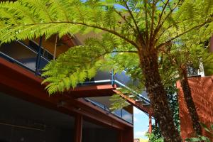 matilda motel