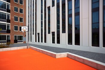 the social hub the hague