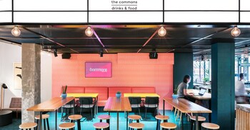 the social hub the hague